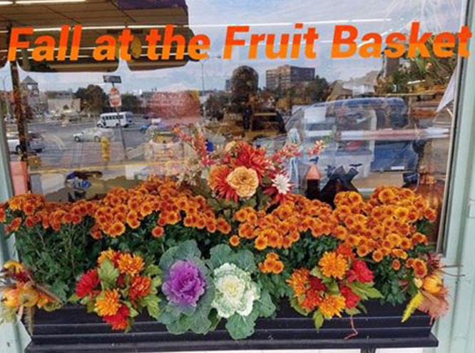 Fall at the Fruit Basket